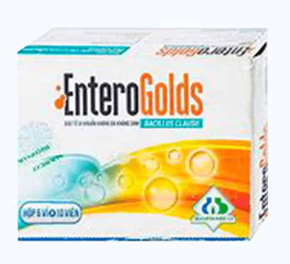 Viên nang cứng EnteroGolds giúp cân bằng hệ vi sinh đường ruột (6 vỉ x 10 viên)